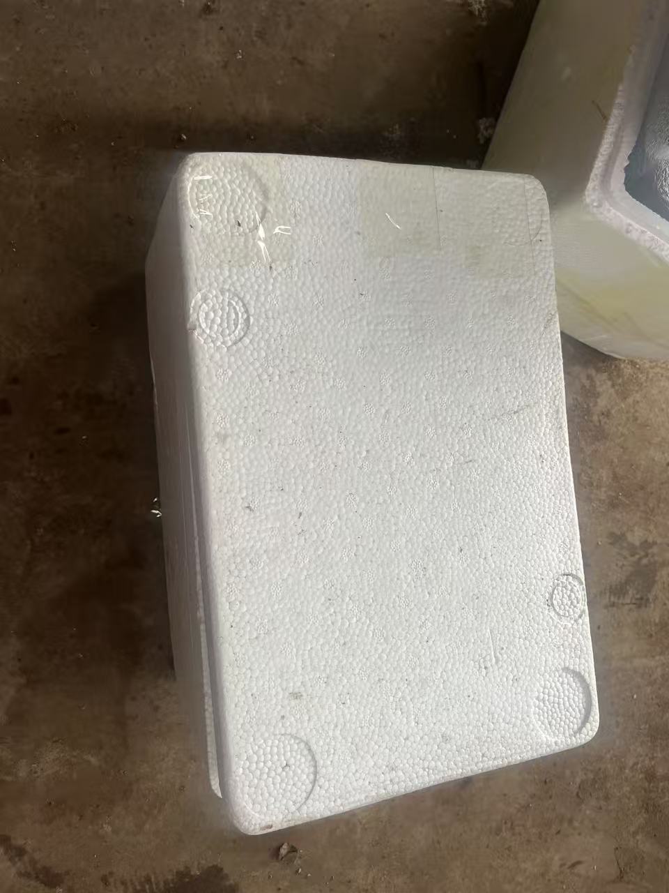 多肉保温箱（云鑫欣多肉）