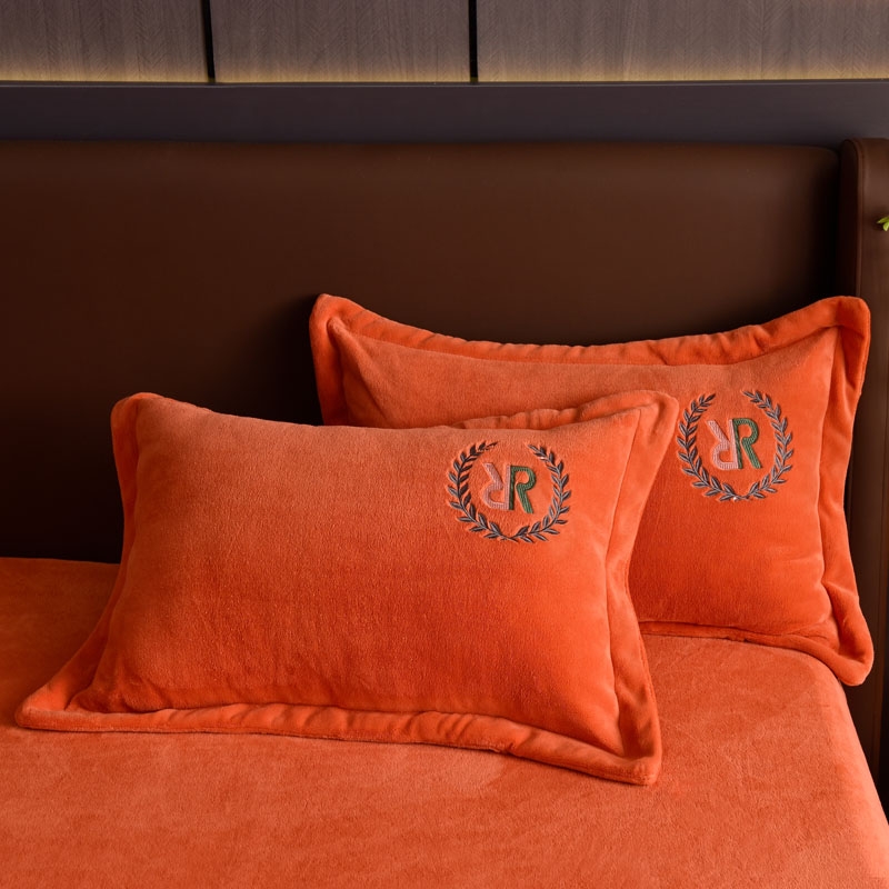 2025新款牛奶绒单枕套（一对装）双面成人加绒毛绒加厚纯色绒面