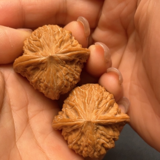 文玩核桃把件37磨盘