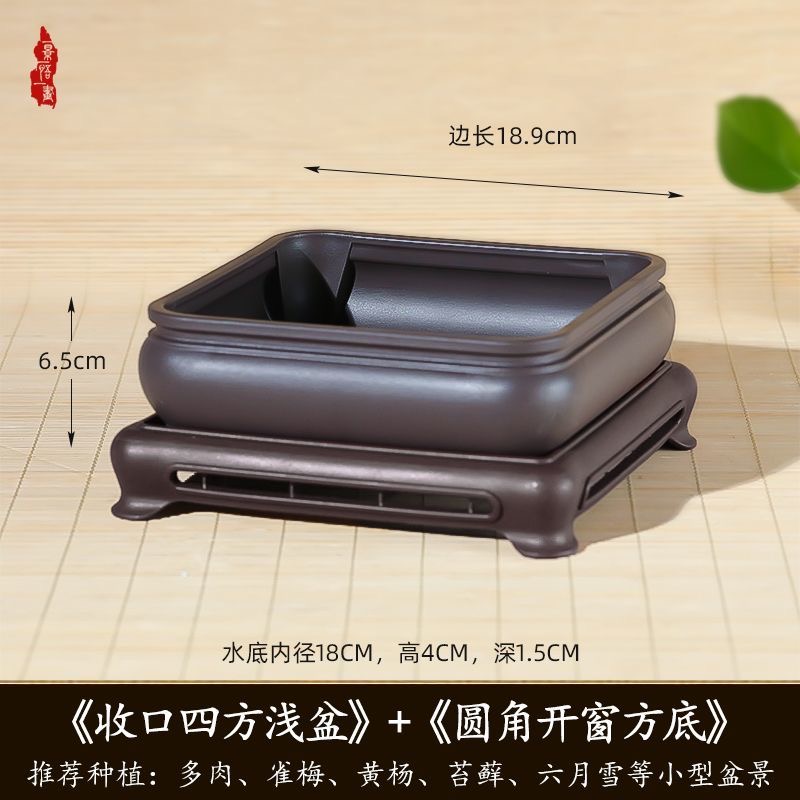 一景一悟一画18.9口径6.5高度树脂收口四方盆苔藓植物四方盆老桩
