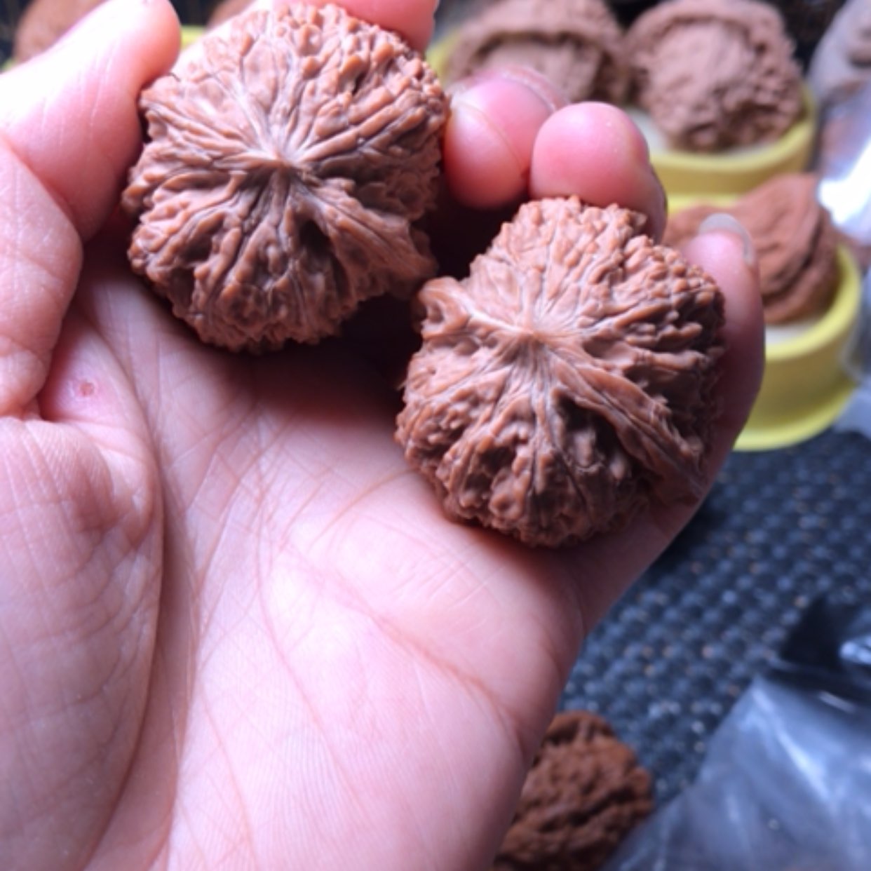 【闪购商品】一三七狮子头