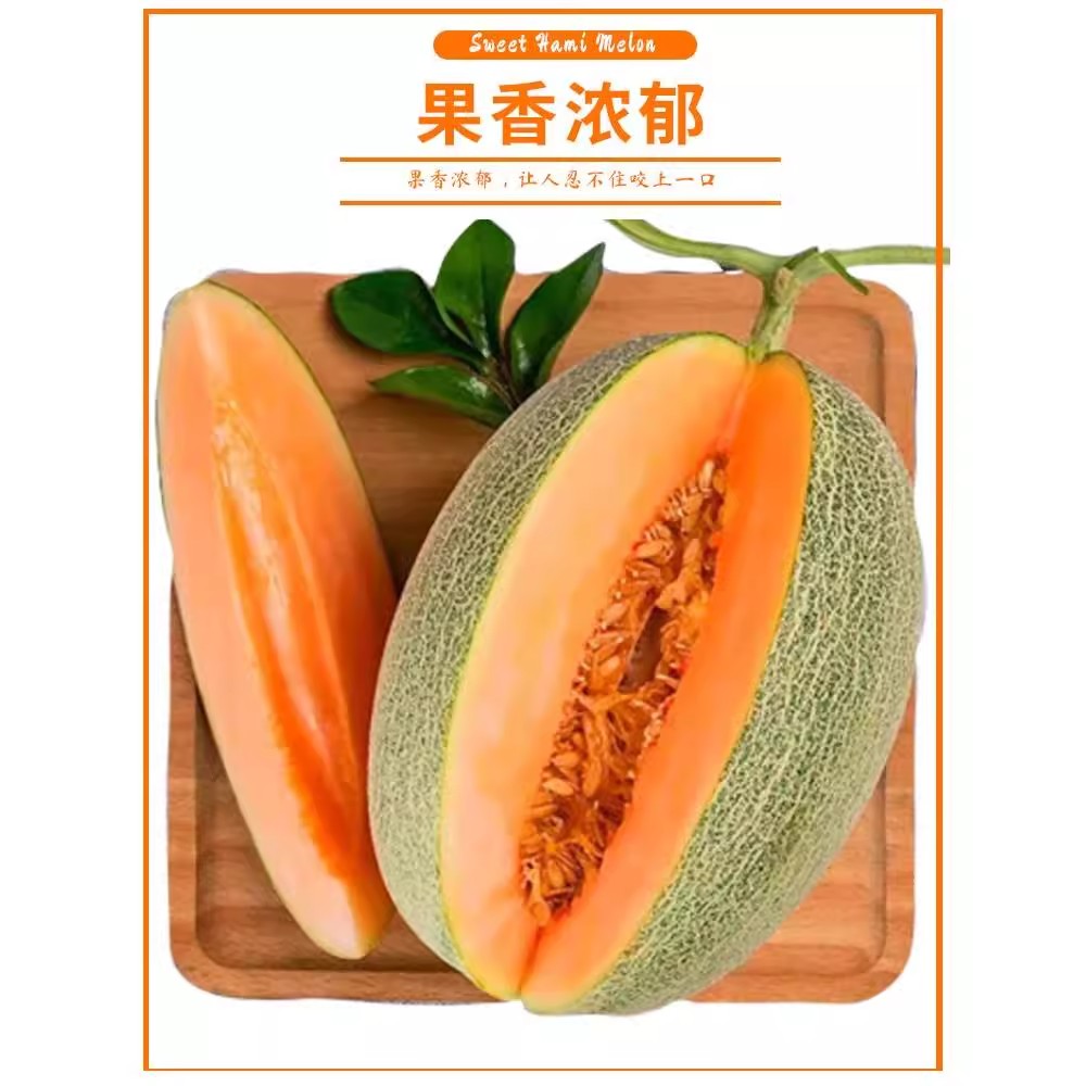正宗海南哈密瓜新鲜水果西州蜜25号甜瓜应季脆甜香蜜瓜现摘现发
