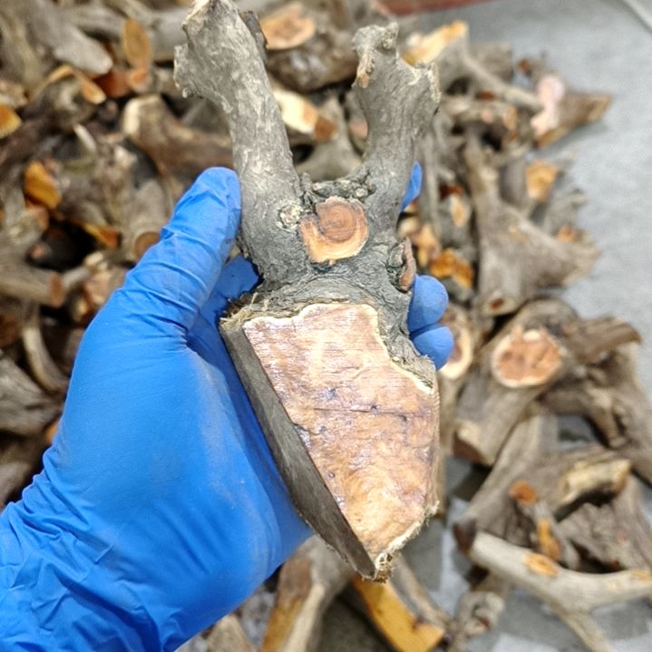 天***蓝香榧木崖柏随行毛料毛料毛料