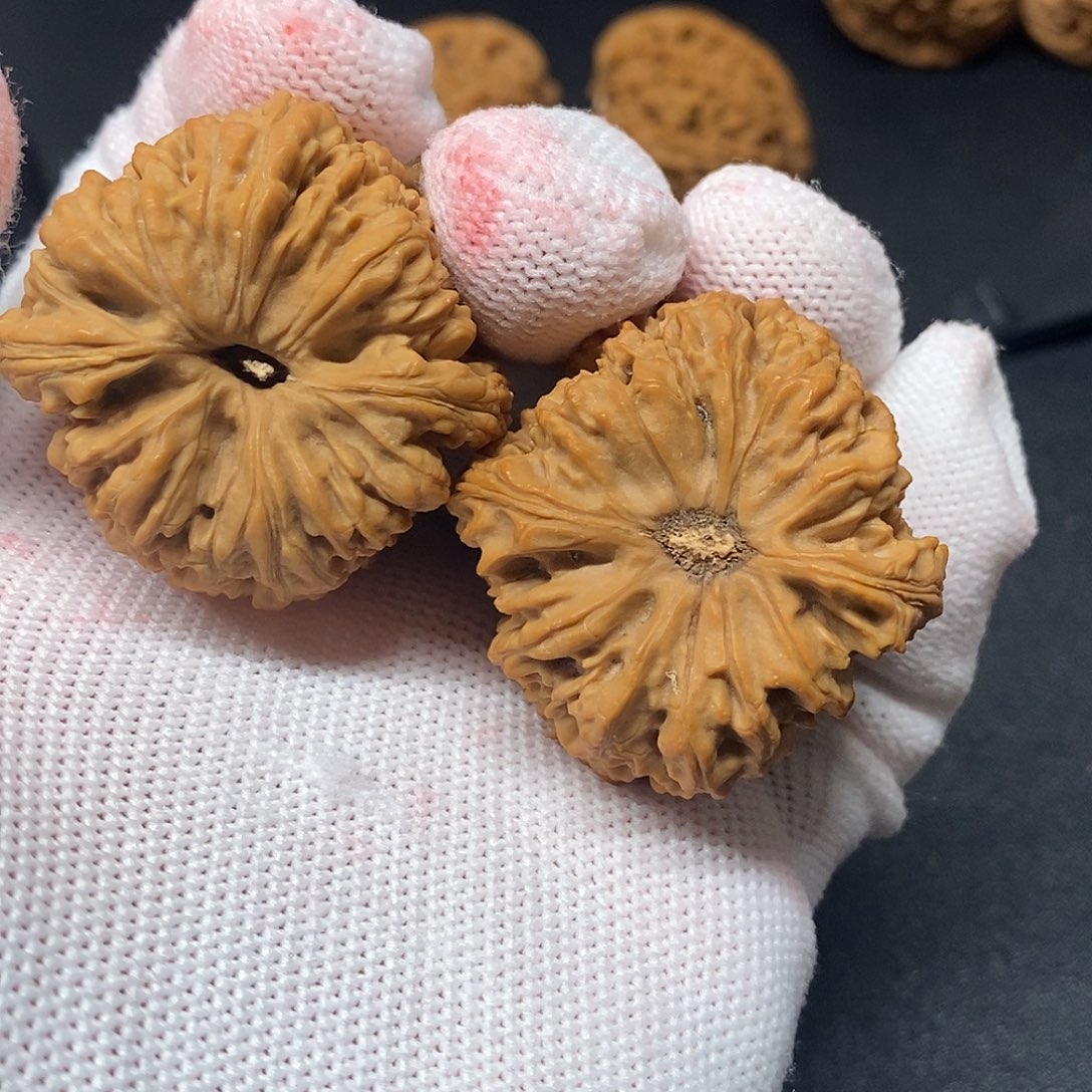 H***i38天使南疆石核桃