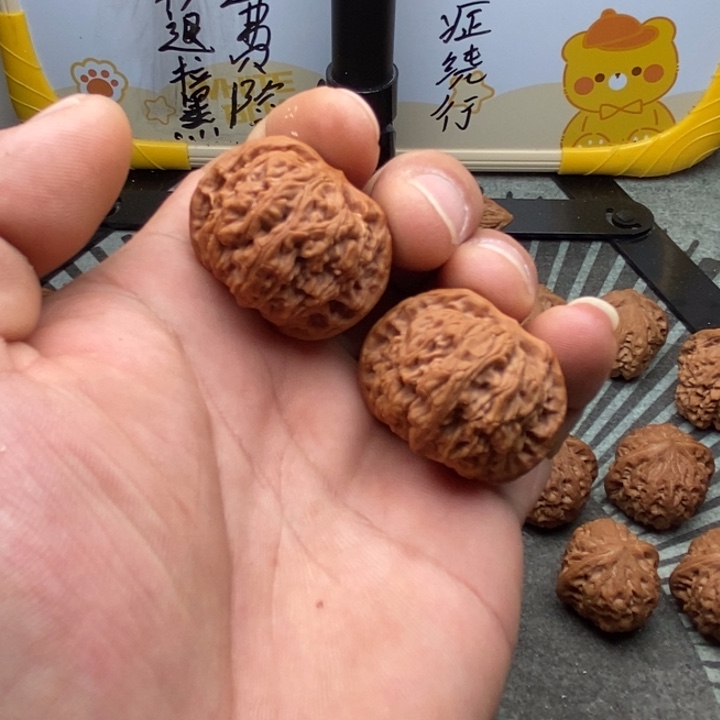 文玩核桃把件第一矮