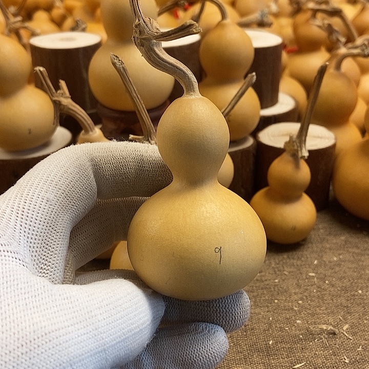 文玩葫芦 完美主义者 慎拍9