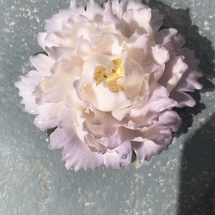 我****微瑕，不 退不换，介意勿拍，退换拉黑