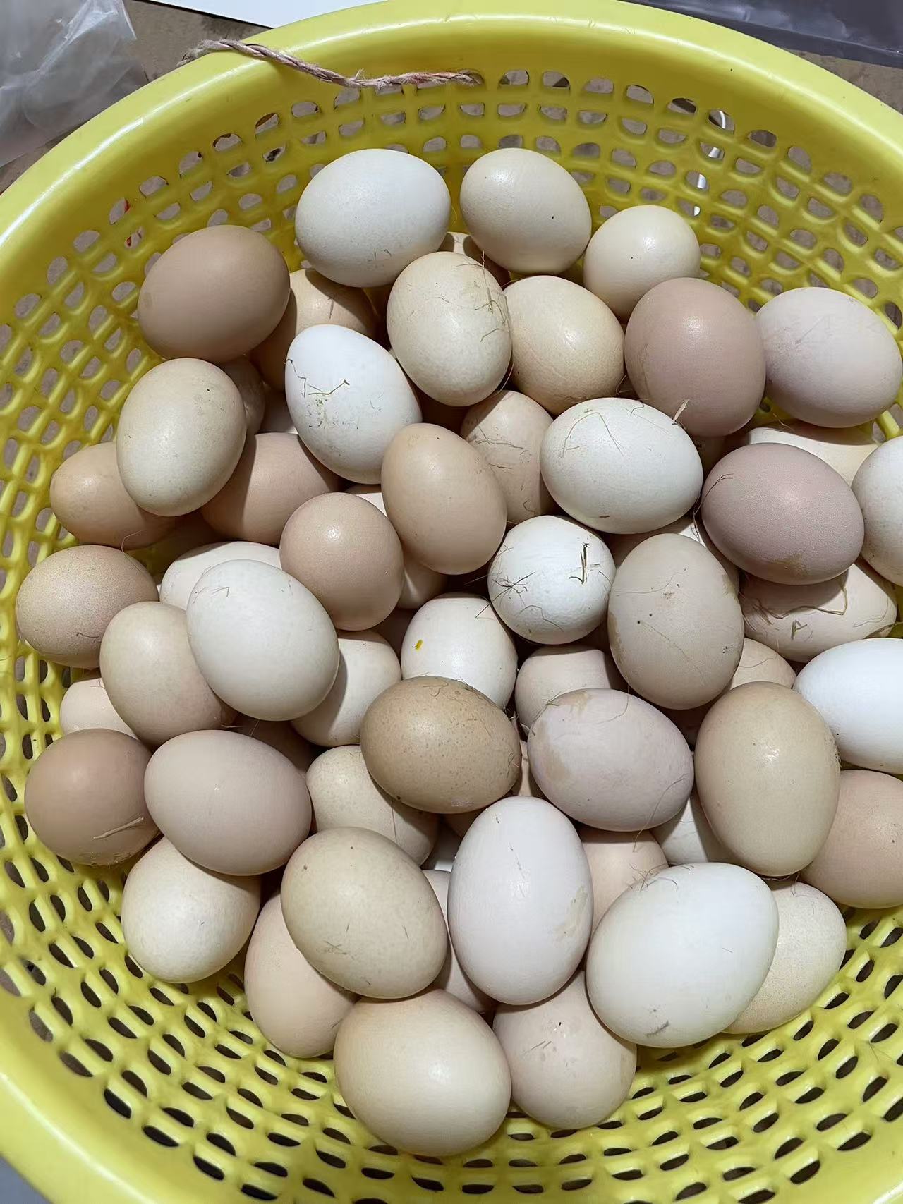 农家土鸡蛋，散养鸡蛋