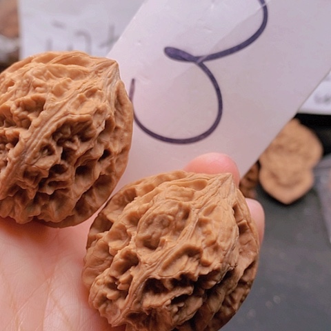 吊坠桃核38全品野生41克