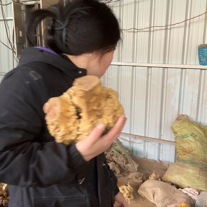 香榧木发个短信就可以