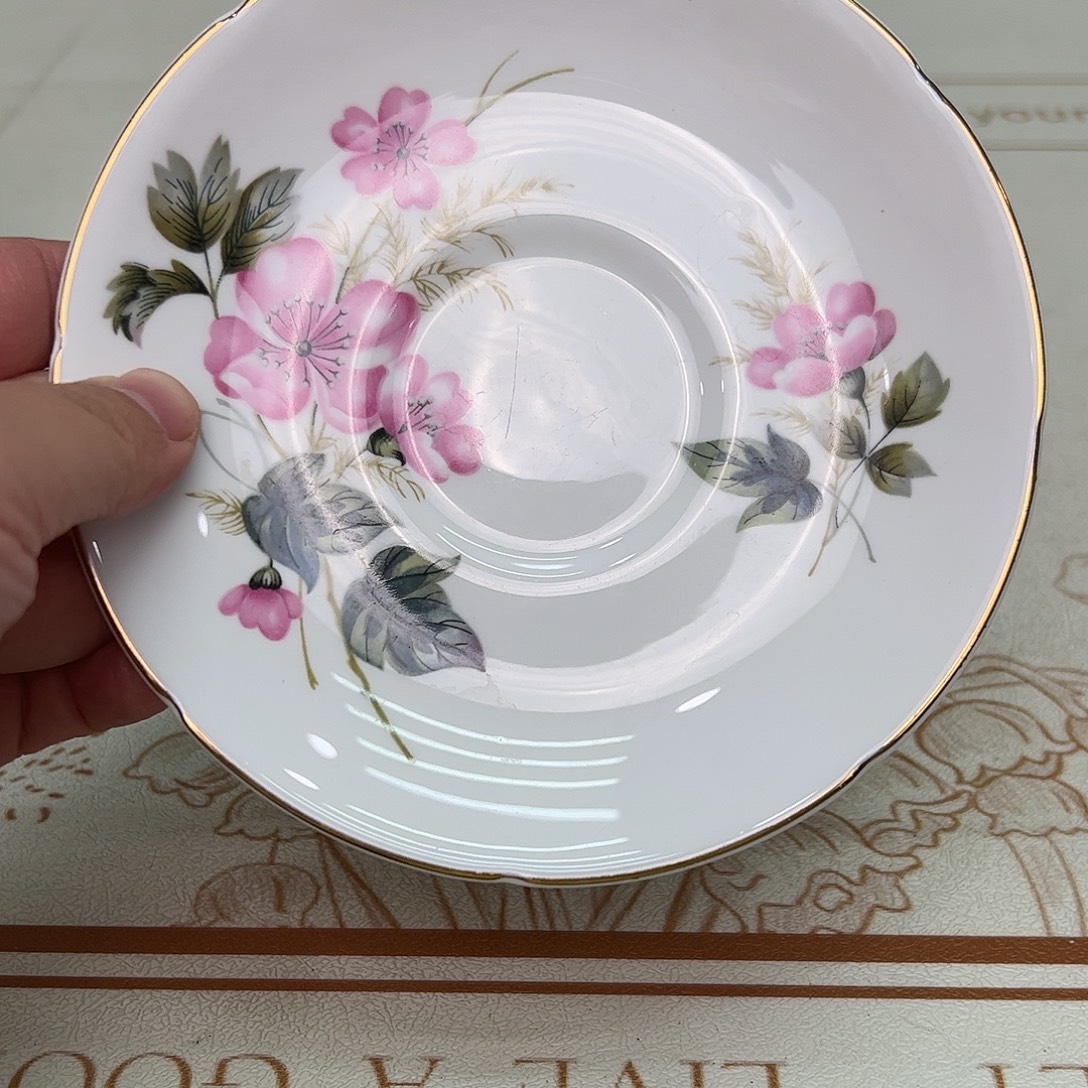 盘维多利亚欧洲中古