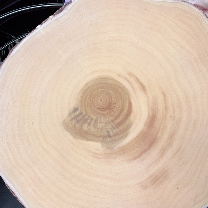 木银杏木菜板整木整切