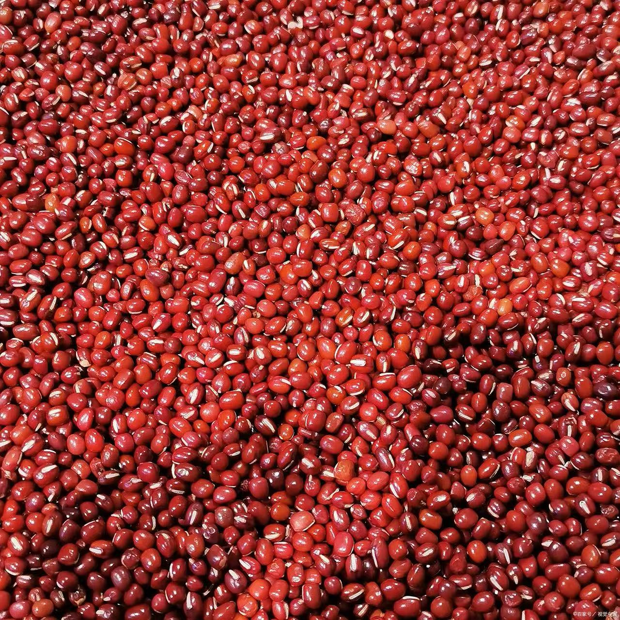 [土特产龙腾赤小豆专属项]总重量500g