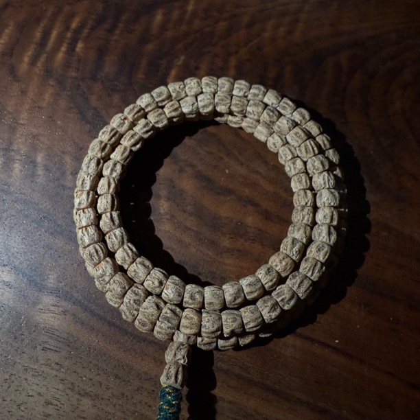 热振直切尸陀林暴风
