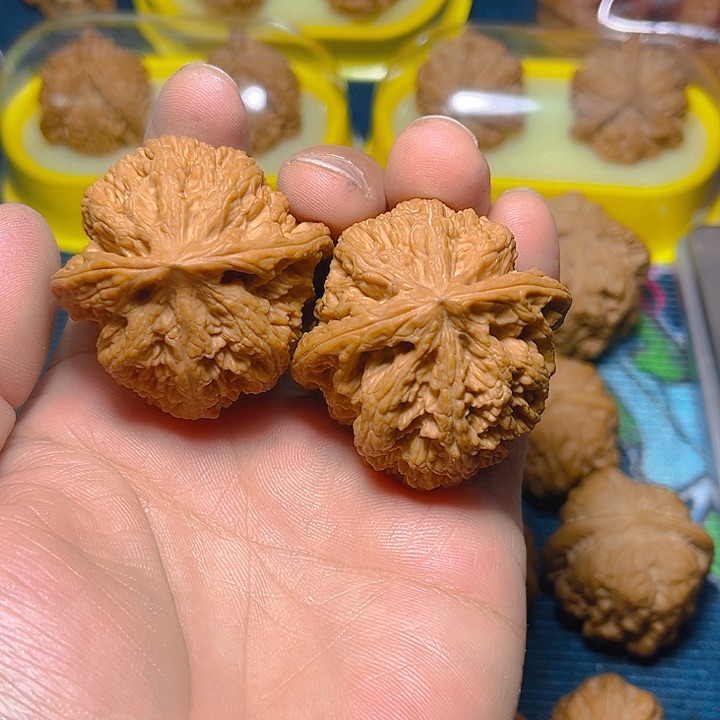 文玩核桃吊坠机****?大粗筋