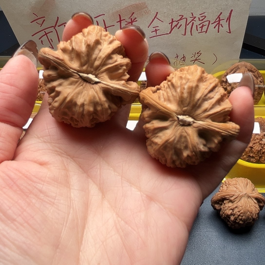 S***s核桃39尺寸白狮子