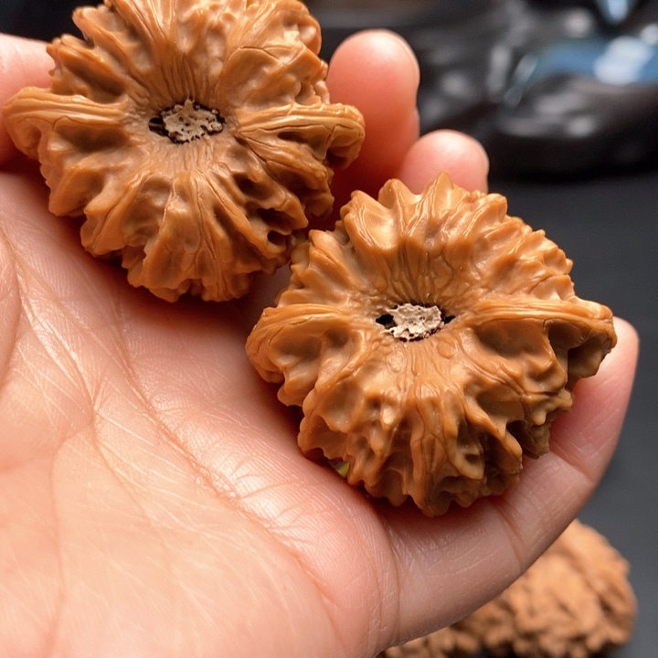 文玩核桃把件龙门41尺