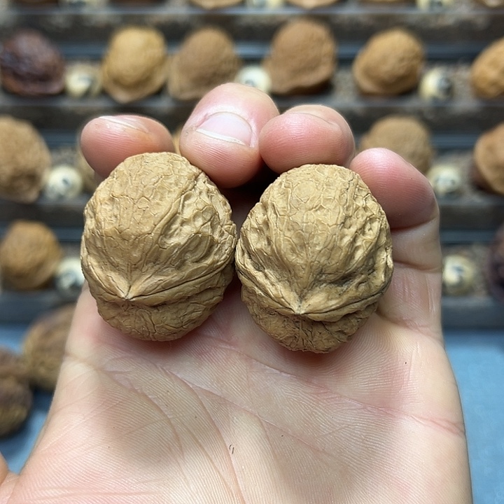 文玩核桃把件17号粗筋龟甲38尺