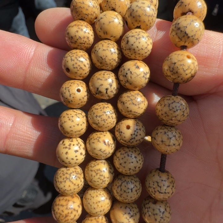 星月菩提手串菩提树等树木的生长发育和