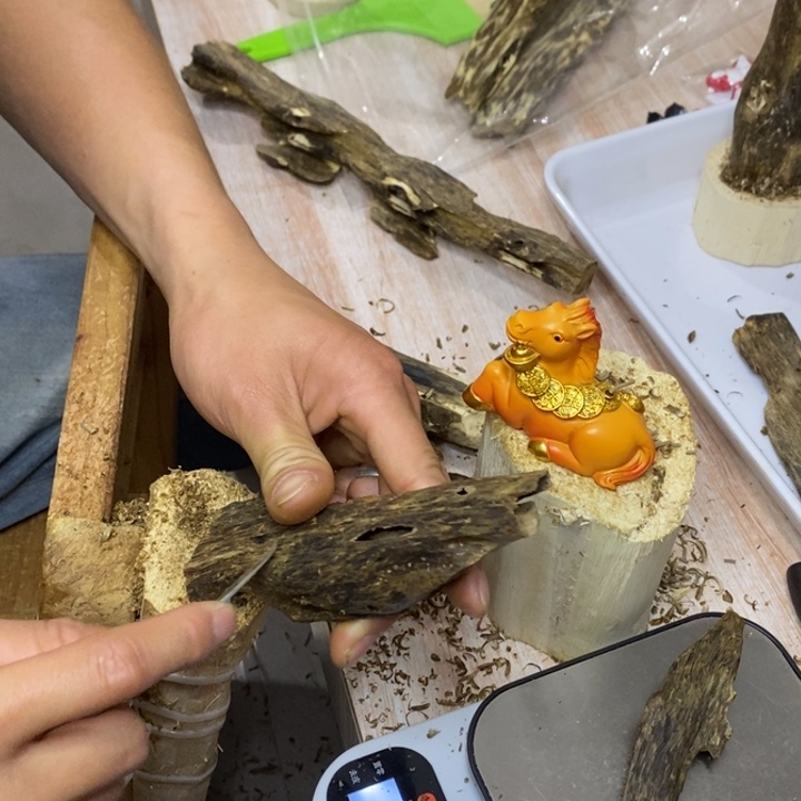 原材料奇楠沉香陆河22g