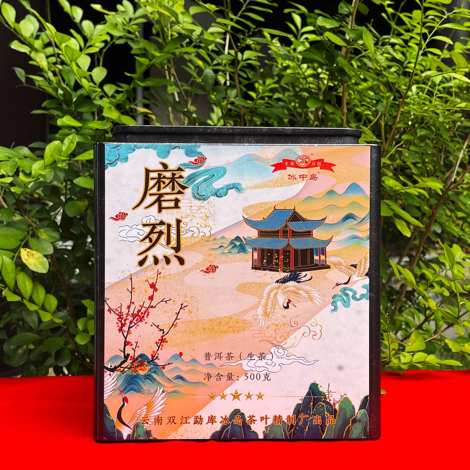 冰中岛2025年 磨烈古树头春头采 500克 散茶 礼盒装 生茶