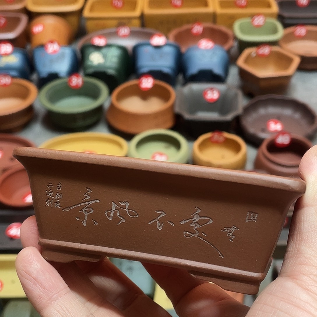 紫砂小盆10*6.5*3.5cmmmm