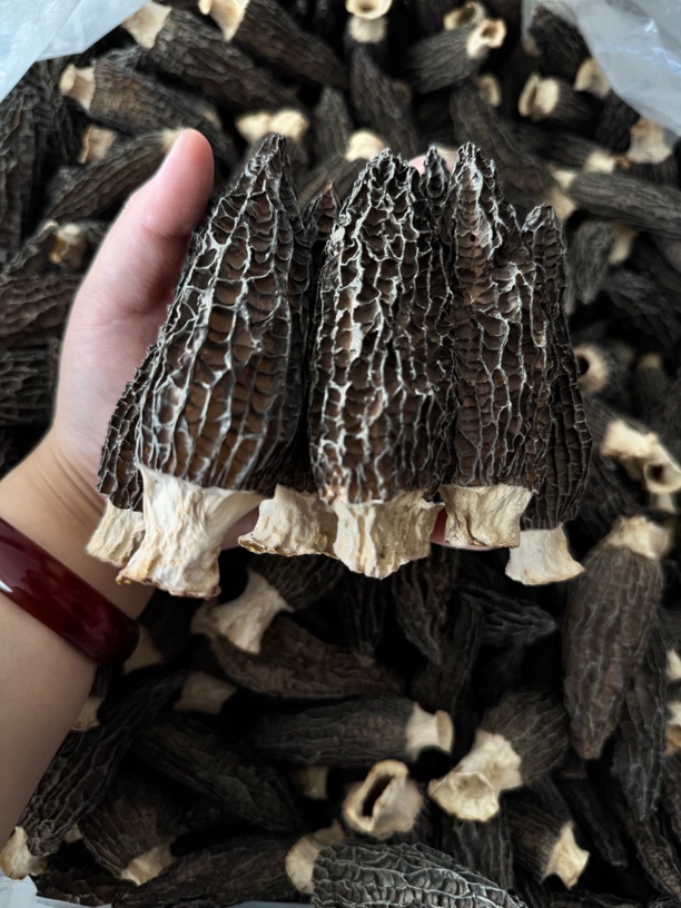 云南头茬精品羊肚菌半斤装！