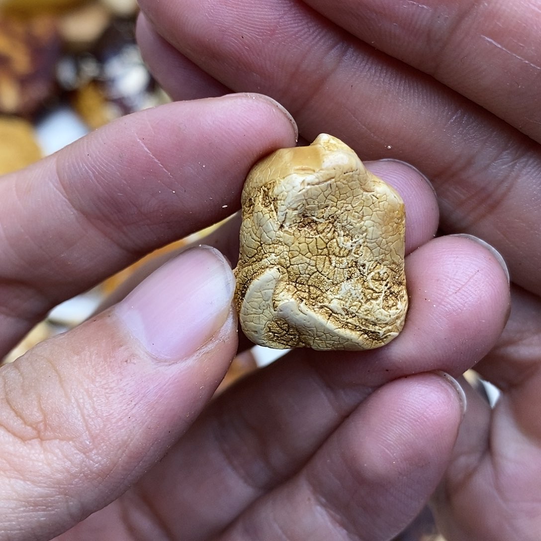 定制蜜蜡未镶嵌原石