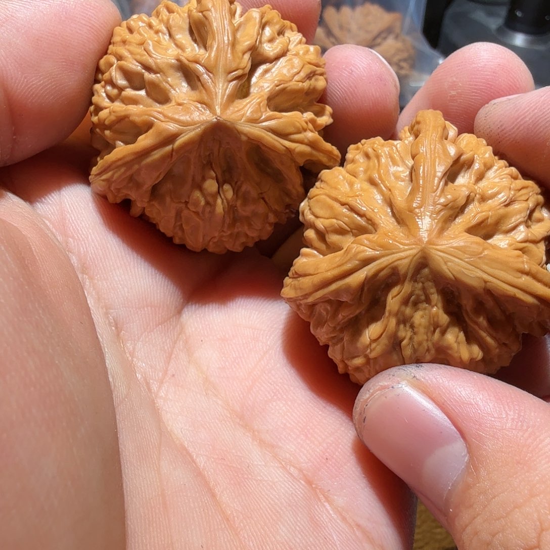 文玩核桃把件枝**金御龙