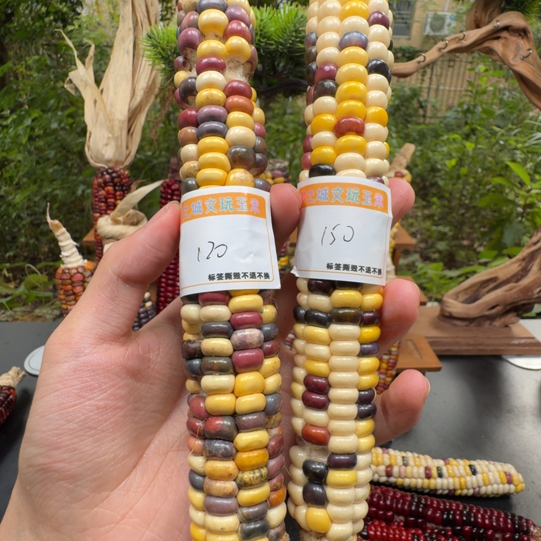 莉***姐大叶紫檀（黑酸枝木类）