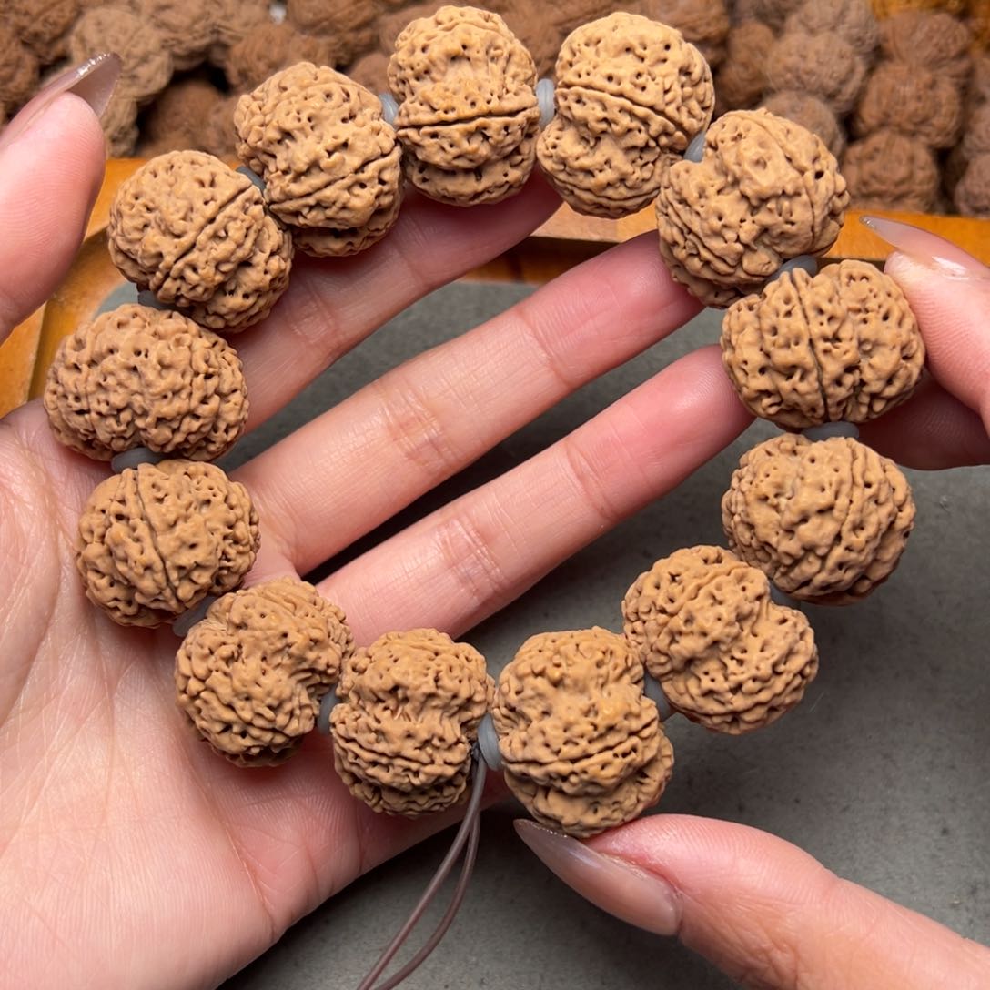 菩提1号金刚菩提梅花双龙26