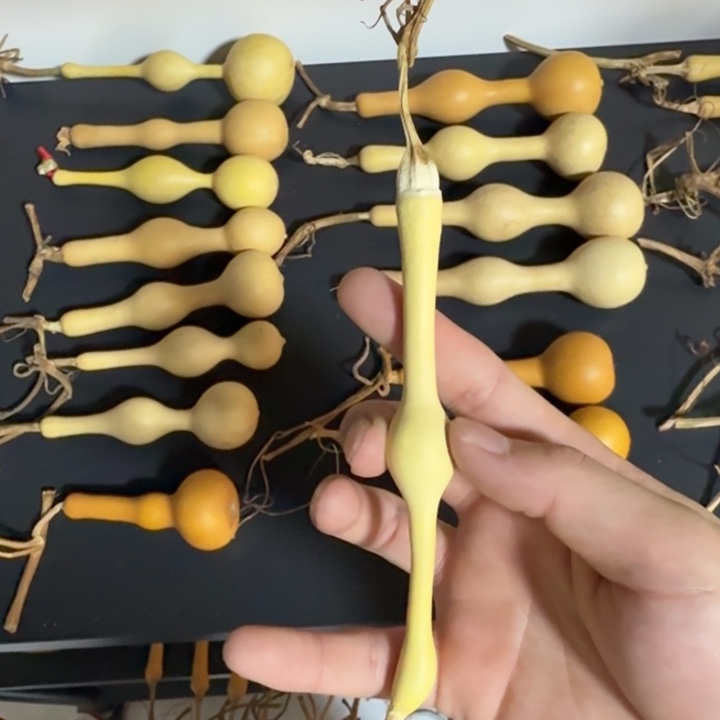 亮***哥精品杆子异性周正