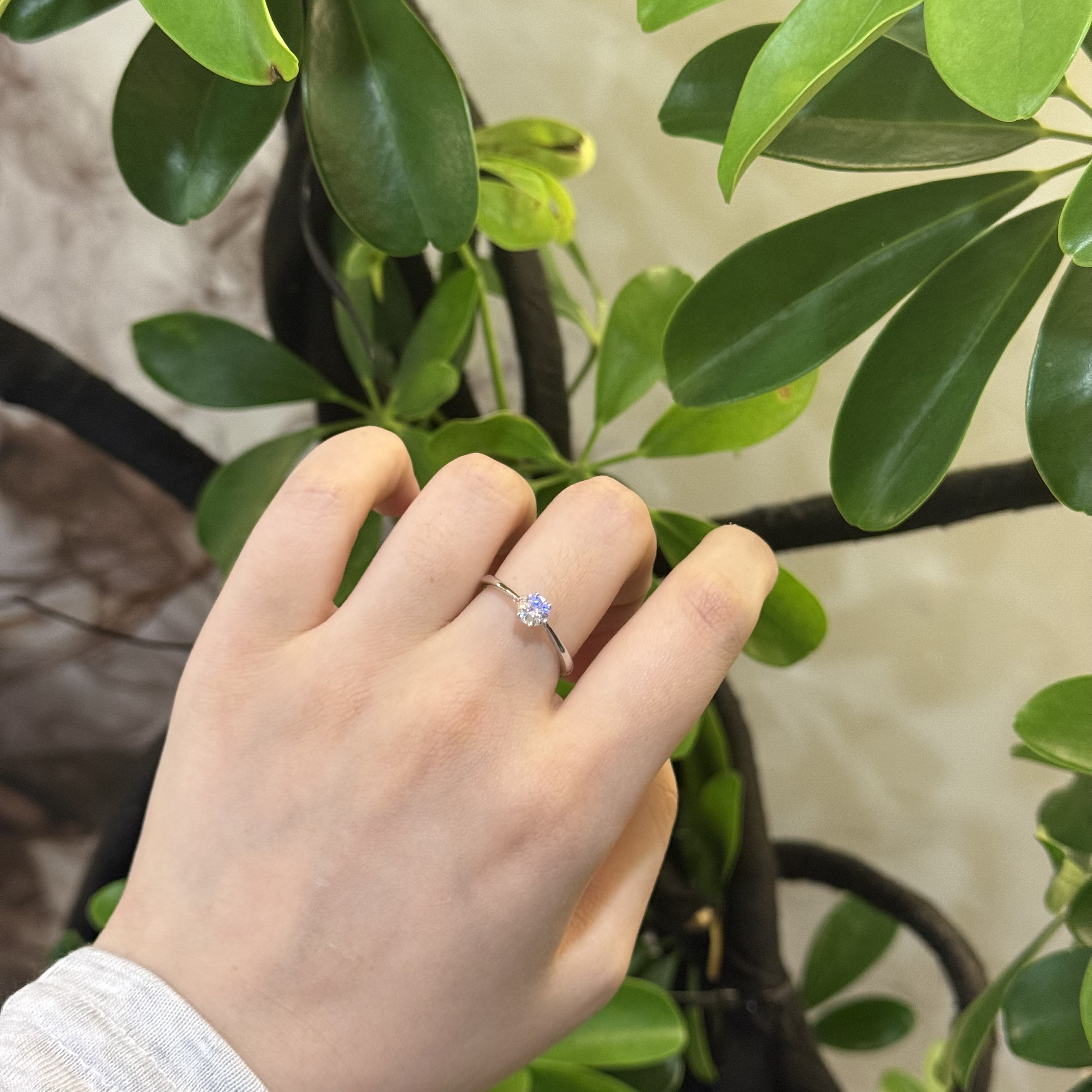 925银莫桑石戒指 高版本 超闪轻奢经典设计六爪戒指 XL-9018