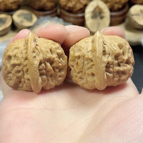 文玩核桃把件白蛇谷35+微差尺