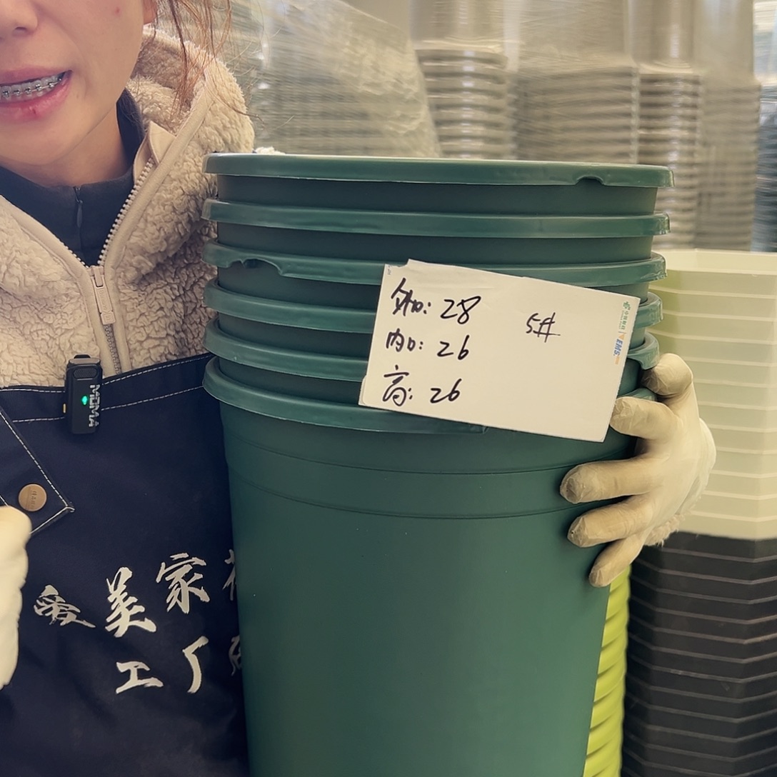 瑕疵加厚5#墨绿6个无托