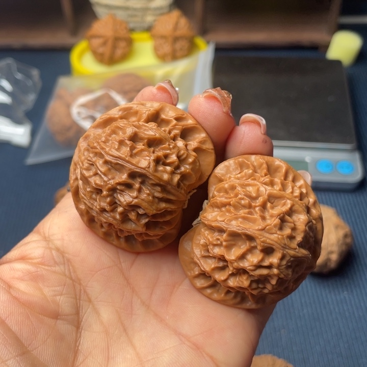 核桃44宫灯888888