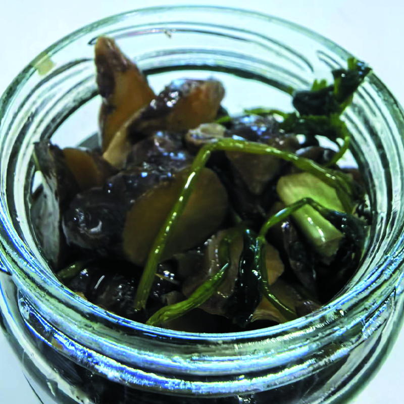 芥香鬼子芥末香油拌菊芋口味独特冲鼻很好吃