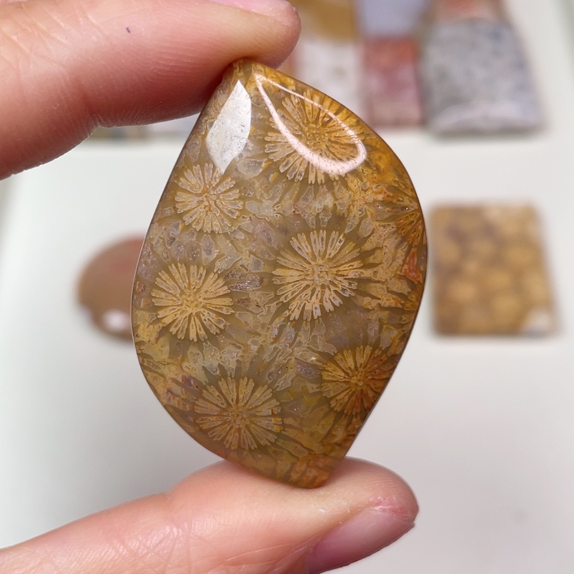 【闪购商品】未镶嵌吊坠(赠链)硅化玉乐*