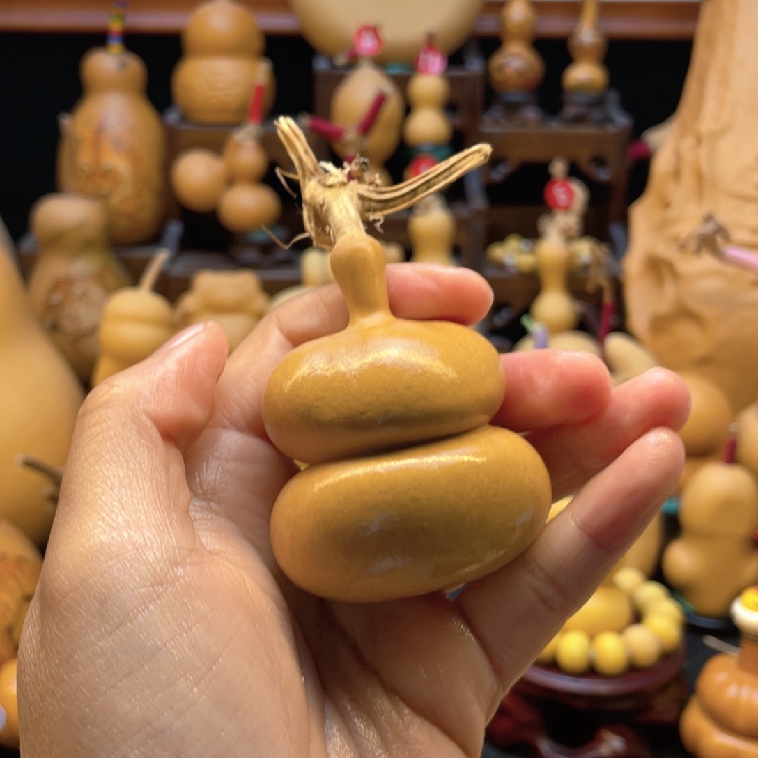 猫**友葫芦等多种颜色的花鸟画作品