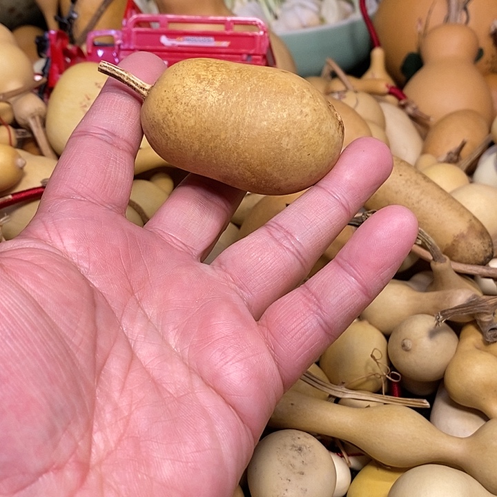 K***?精品葫芦手把葫芦97