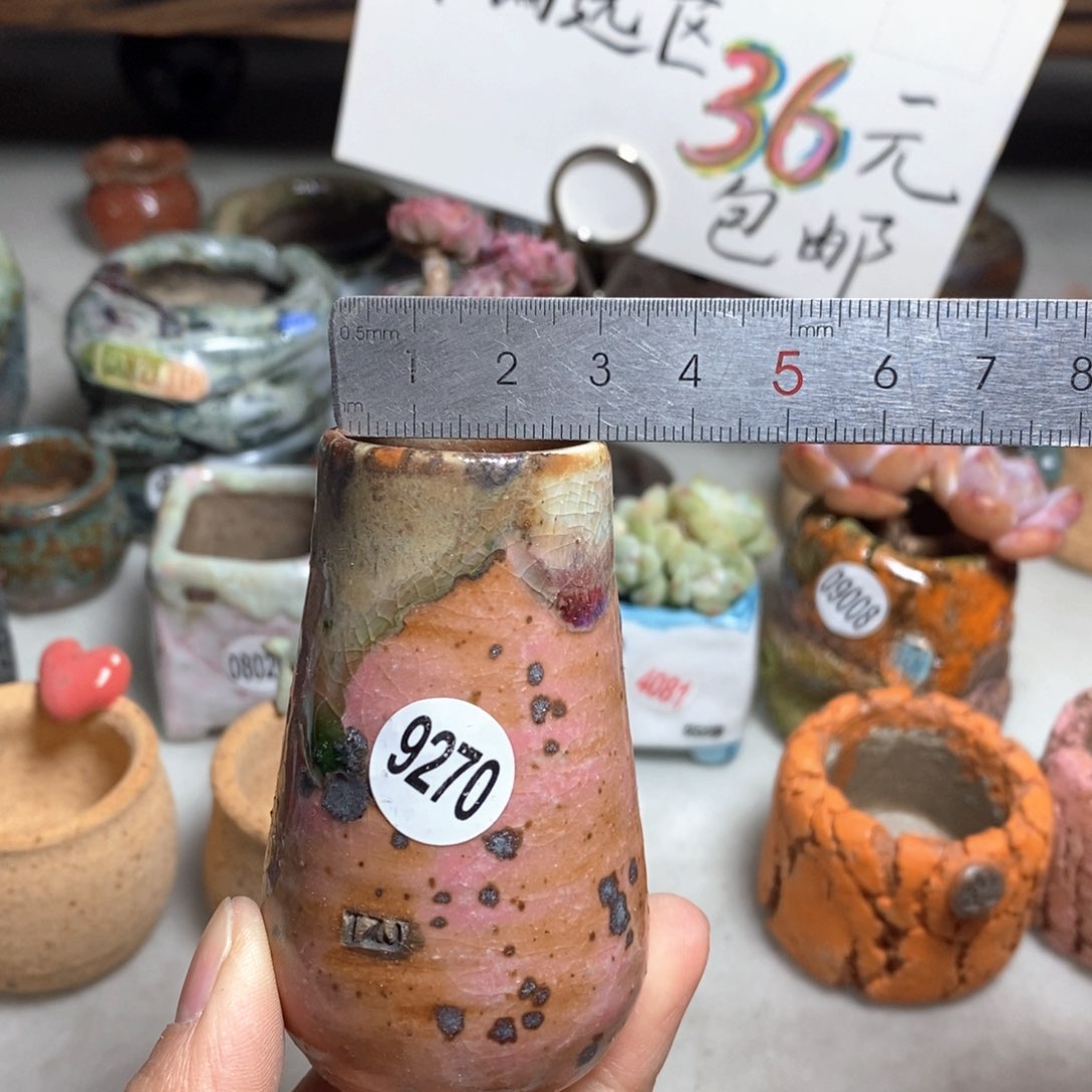 花盆拍5送一个小礼物