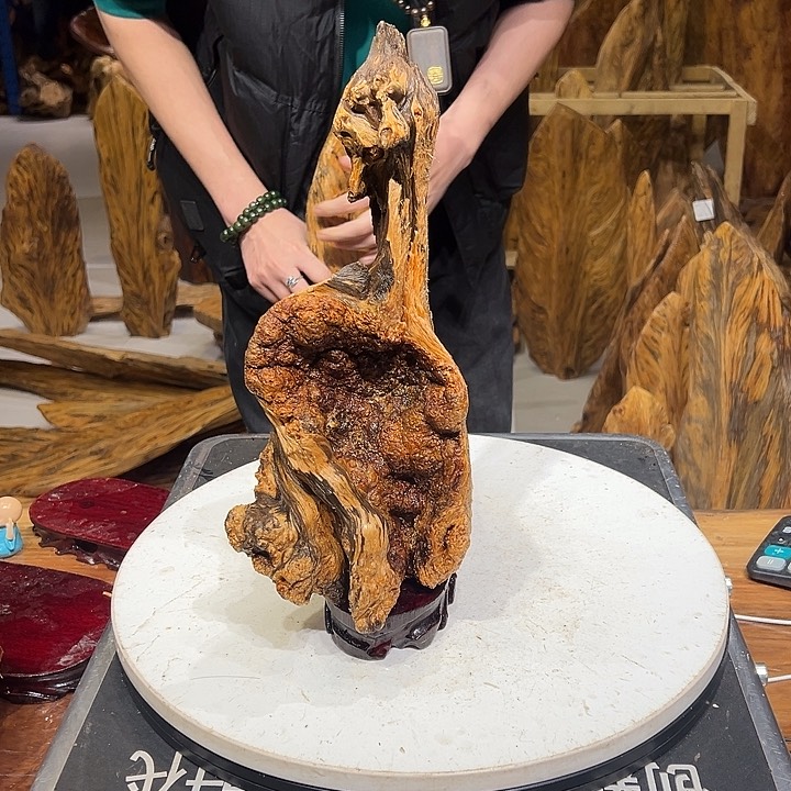 松木（琥珀木）A****子