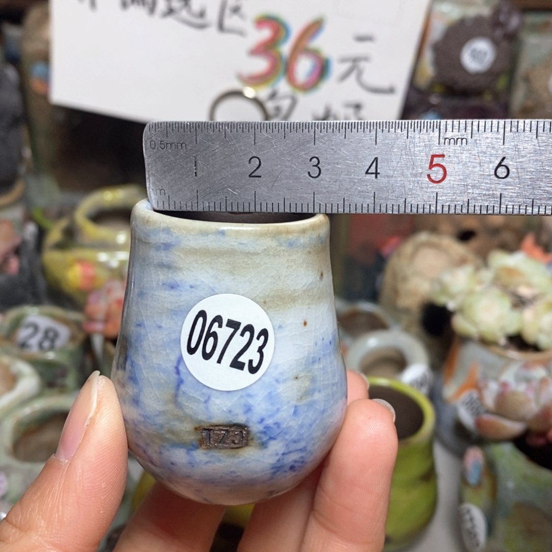 花盆拍5送一个小礼物