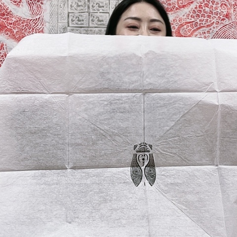 【闪购商品】拓片用纸其他拓片