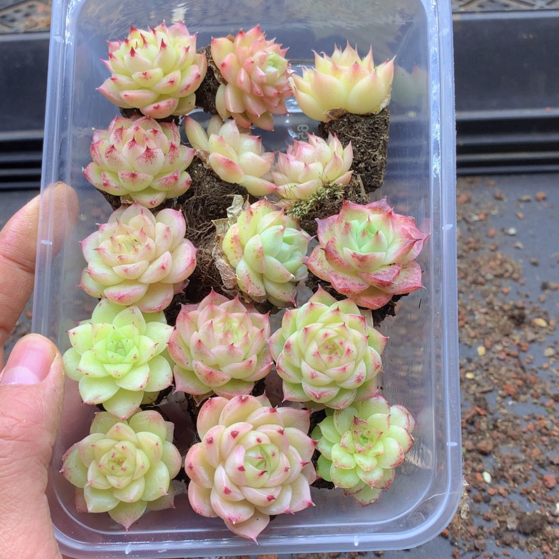 反反复复还是很开心的150