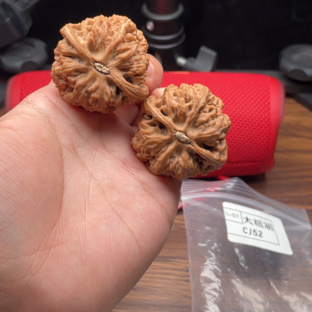 核桃cj52红锦鲤核桃