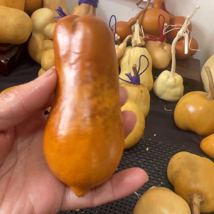 Y***，葫芦哈哈哈哈哈哈