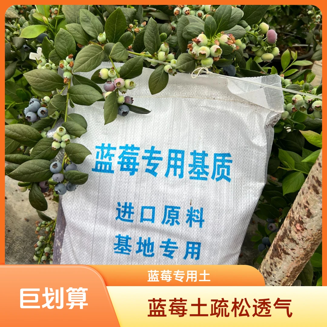 【蓝莓苗专用土】盆栽果树苗酸性配方营养土泥炭土疏松透气土