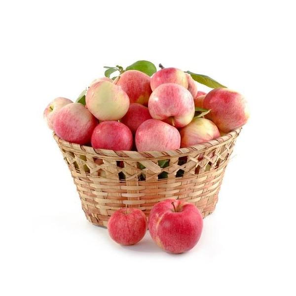 国光苹果约500g左右/份