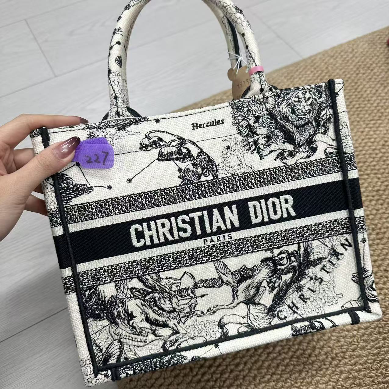 95新 DIOR/迪奥 227  xq  /二奢包包